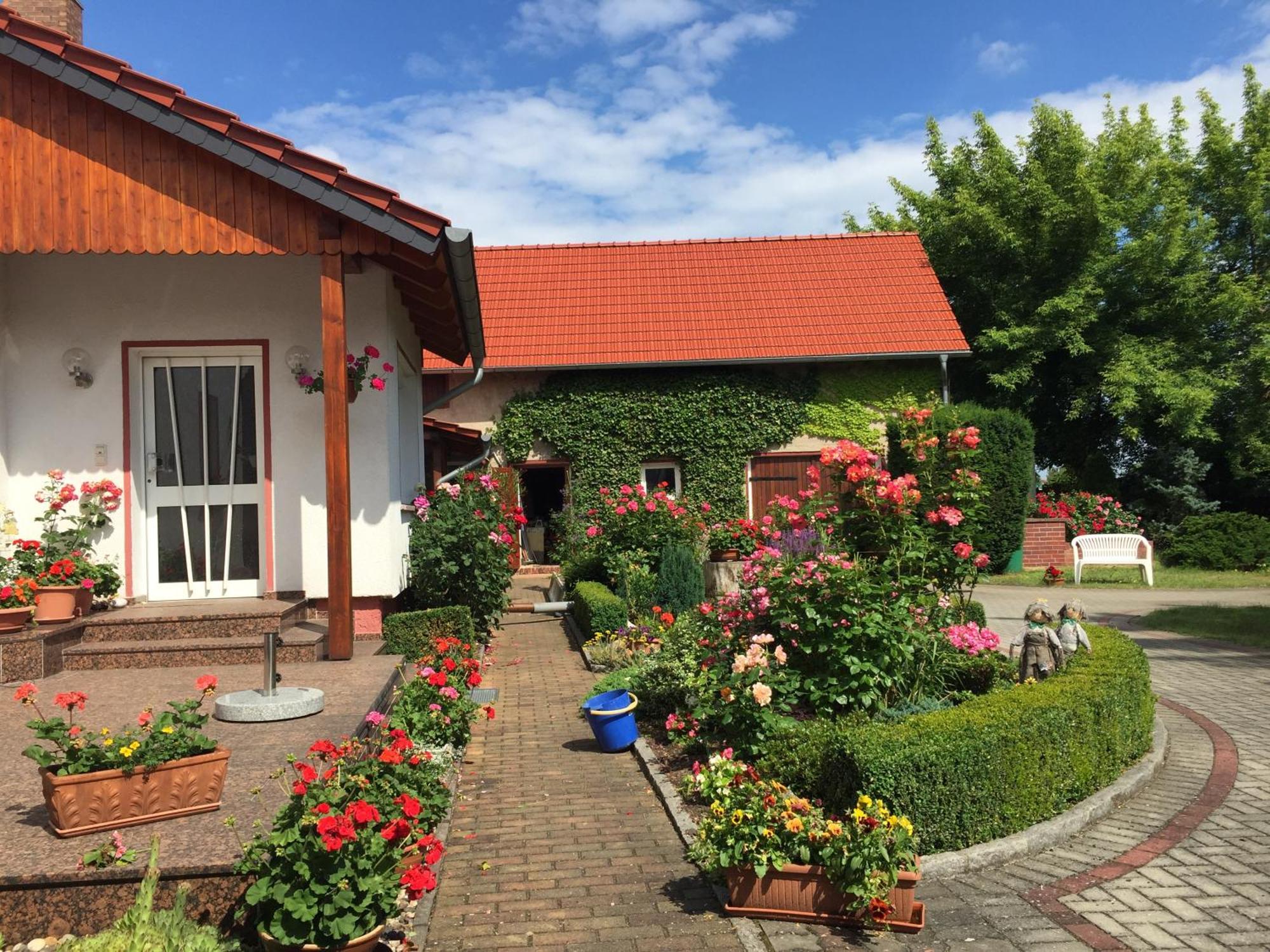 Top-Moderne Ferienwohnung Und Apartments Auf Frueherem Wunderschoenen Bauernhof Im Elbe-Elster-Kreis In Brandenburg Bei Herzberg-Elster, Schoenewalde, Holzdorf Eksteriør billede