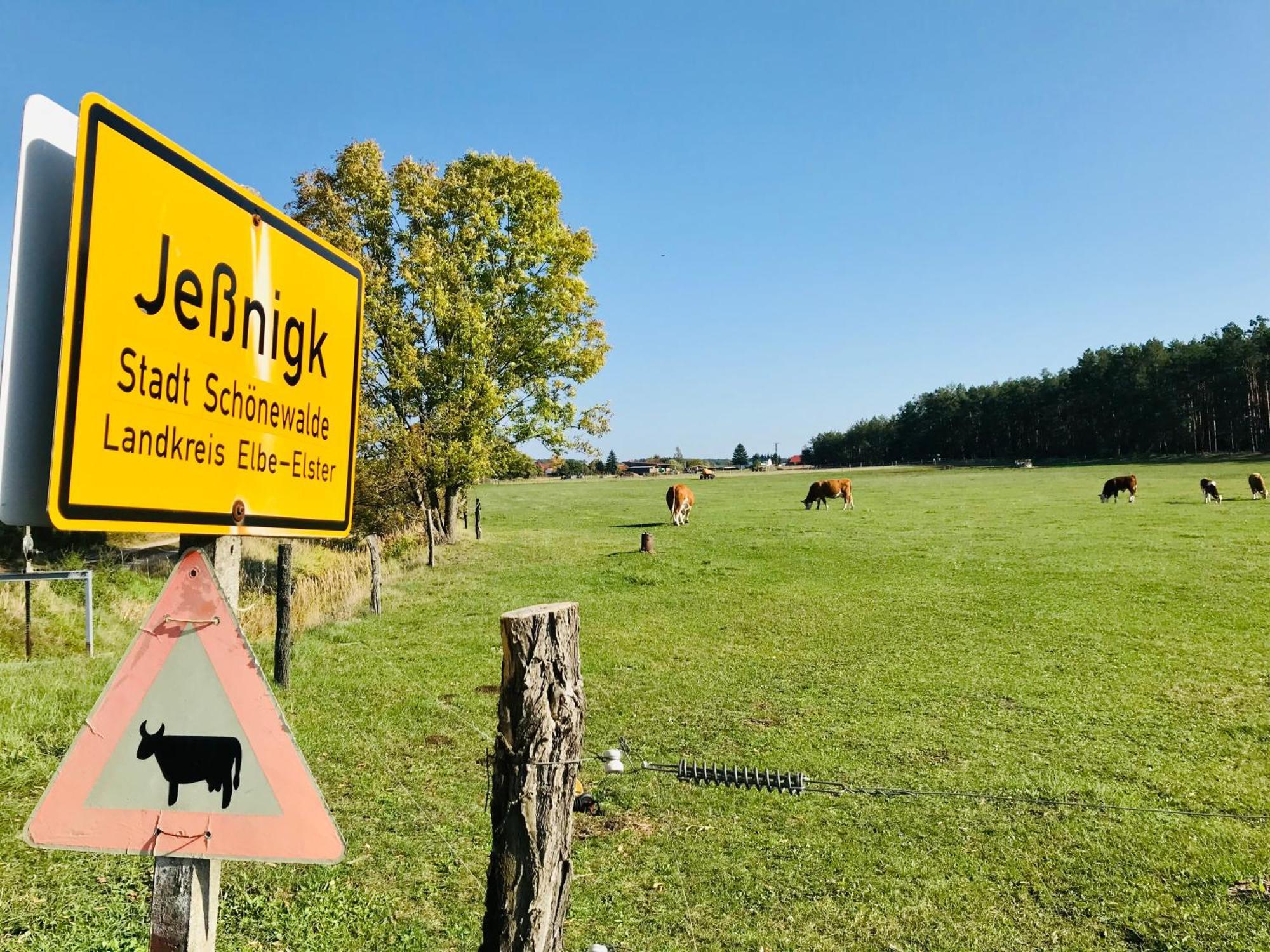 Top-Moderne Ferienwohnung Und Apartments Auf Frueherem Wunderschoenen Bauernhof Im Elbe-Elster-Kreis In Brandenburg Bei Herzberg-Elster, Schoenewalde, Holzdorf Eksteriør billede