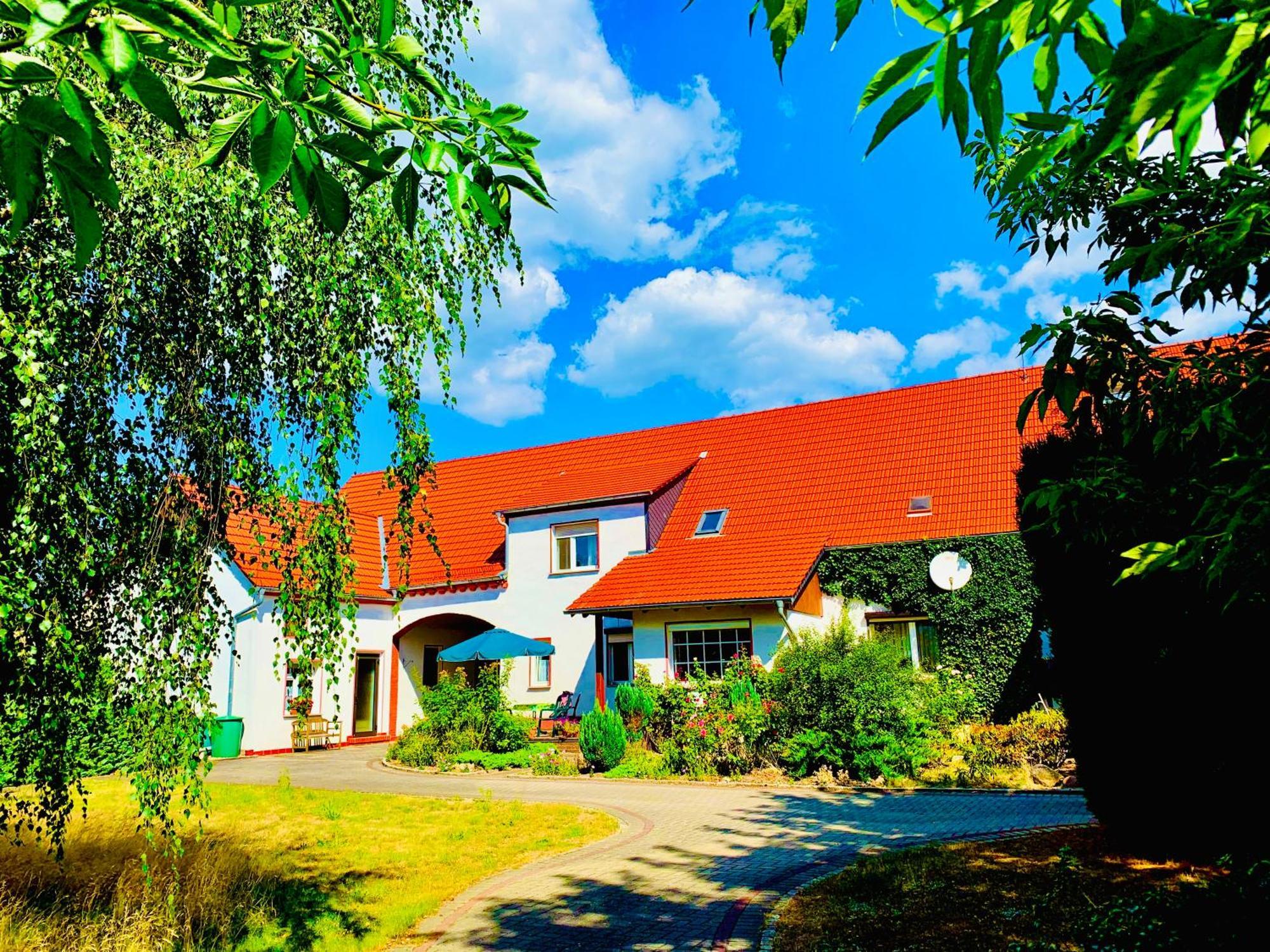 Top-Moderne Ferienwohnung Und Apartments Auf Frueherem Wunderschoenen Bauernhof Im Elbe-Elster-Kreis In Brandenburg Bei Herzberg-Elster, Schoenewalde, Holzdorf Eksteriør billede