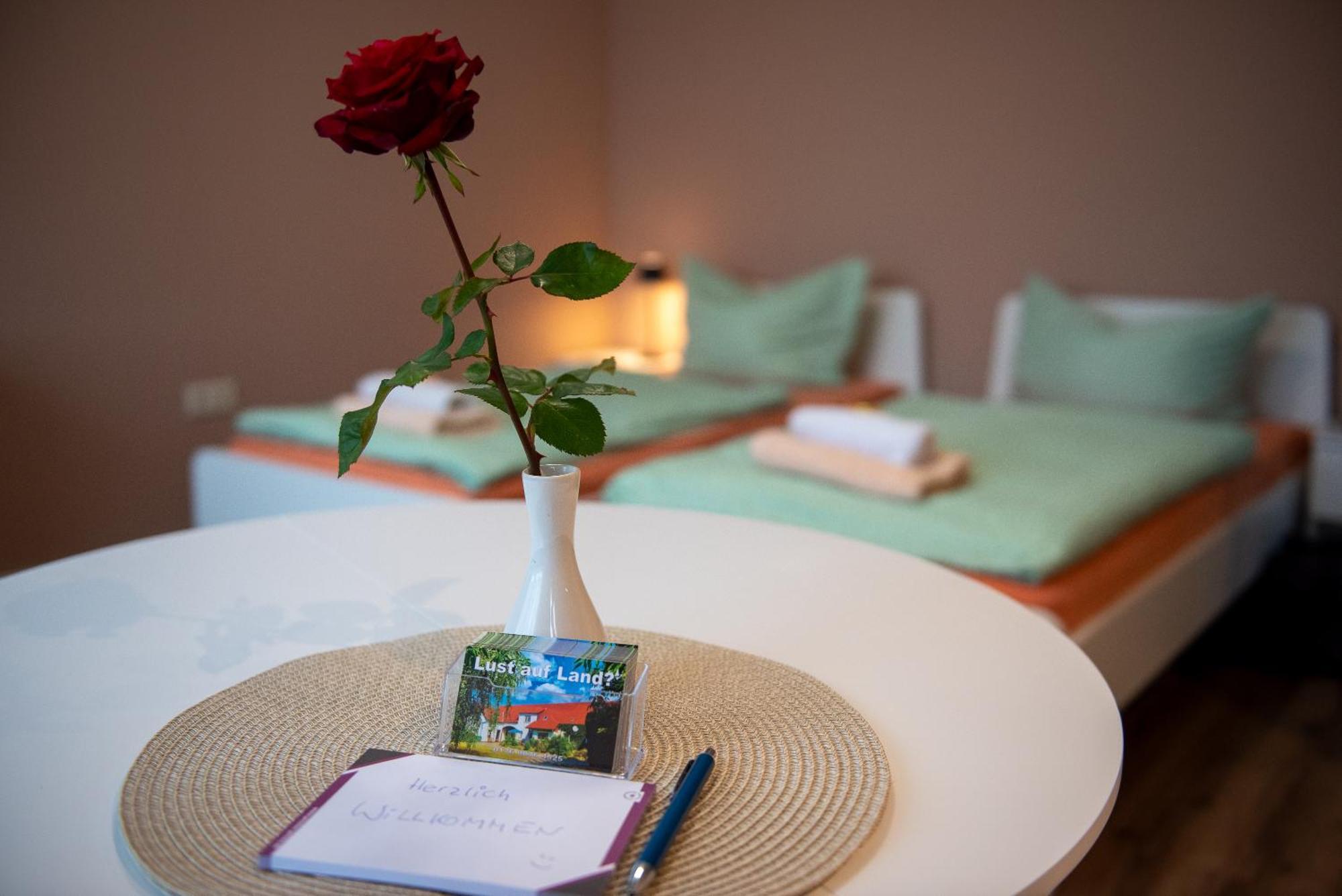 Top-Moderne Ferienwohnung Und Apartments Auf Frueherem Wunderschoenen Bauernhof Im Elbe-Elster-Kreis In Brandenburg Bei Herzberg-Elster, Schoenewalde, Holzdorf Eksteriør billede
